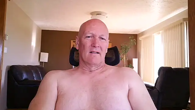 BasicAnt online show from 10, 5, 2026