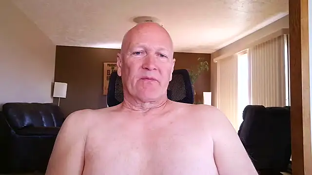 BasicAnt online show from 11, 5, 2026