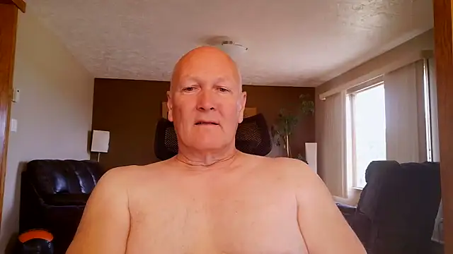 BasicAnt online show from 16, 6, 2026