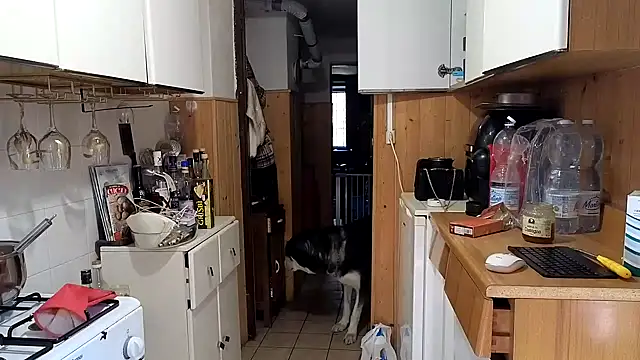 VanessaDoyle online show from 26, 2, 2026