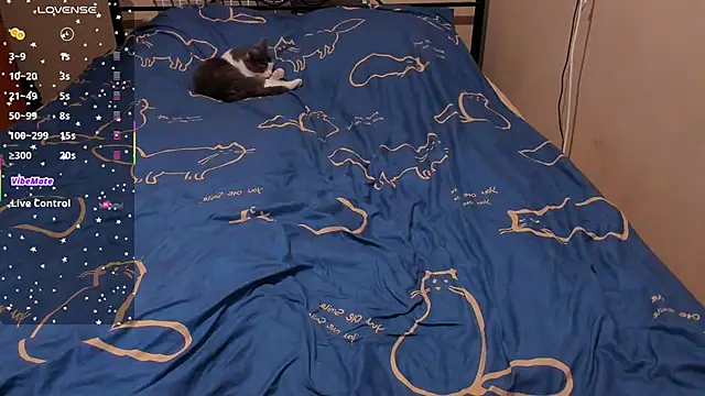 eva zero online show from 27, 2, 2026