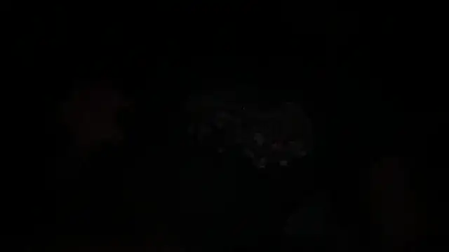 Snapshot of waveonce- chatting on 14, 12, 2025 waveonce- online show from 14, 12, 2025