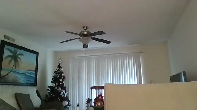 Snapshot of EvaRobinson chatting on 18, 12, 2024 EvaRobinson online show from 18, 12, 2024