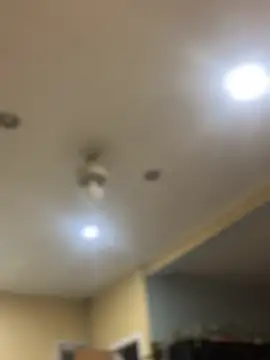 dingoding online show from 7, 2, 2025