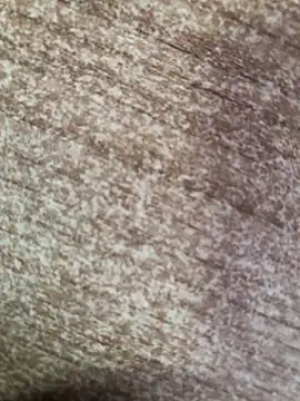 gokhanbey34 online show from 8, 10, 2025