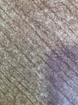 gokhanbey34 online show from 26, 10, 2025