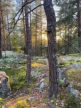 Andreashow online show from 19, 10, 2025