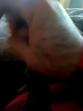 Snapshot of yellowwetfox chatting on 22, 11, 2025 yellowwetfox online show from 22, 11, 2025