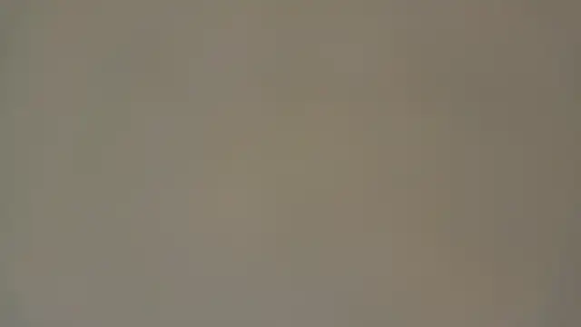 Eva Rodriguez  online show from 5, 4, 2026