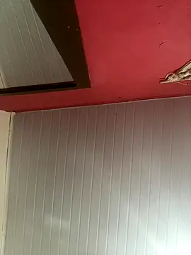 pimenta gaby online show from 30, 11, 2025