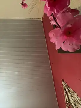 pimenta gaby online show from 17, 4, 2026