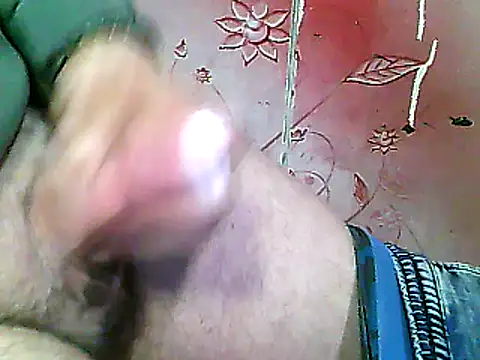 two colour cock online show from 17, 2, 2025