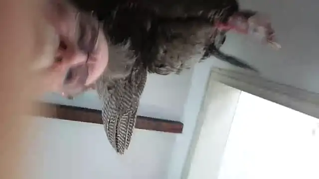 Snapshot of CDforU chatting on 4, 2, 2026 CDforU online show from 4, 2, 2026