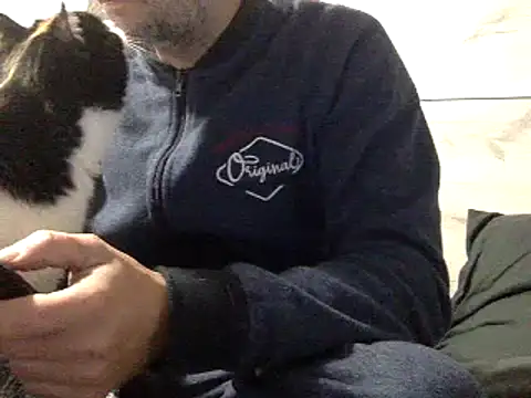 curioushetero online show from 2, 1, 2025