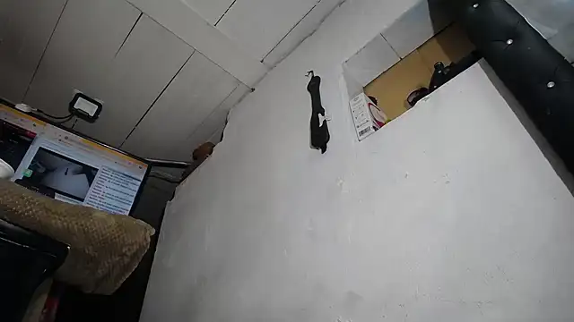 nattashafoxx online show from 23, 6, 2026