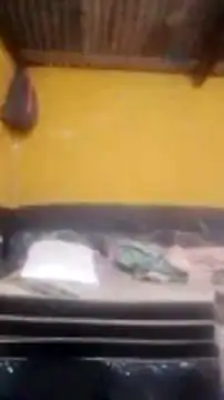 LULE37587001 online show from 24, 2, 2026