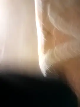 Florinpapy98 online show from 13, 2, 2026