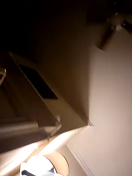 Snapshot of IMS_BHAVEN chatting on 4, 3, 2026 IMS BHAVEN online show from 4, 3, 2026