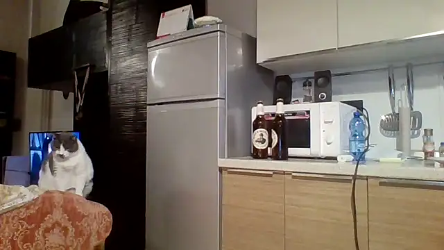 Snapshot of woww791 chatting on 7, 10, 2025 woww791 online show from 7, 10, 2025