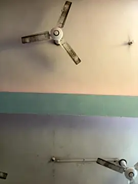 Snapshot of sum6255 chatting on 7, 1, 2026 sum6255 online show from 7, 1, 2026