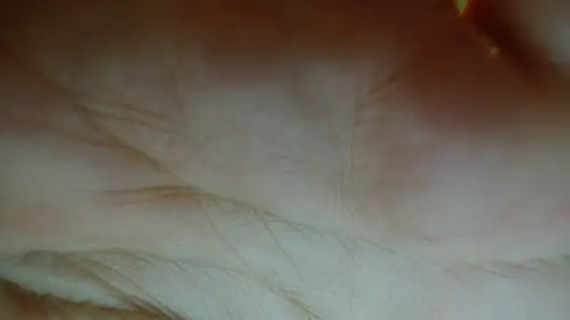 Sassy Latina online show from 12, 1, 2026