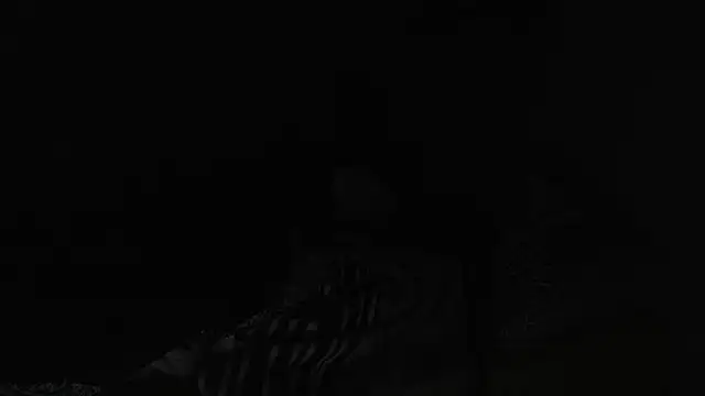 Snapshot of BELINDAXXXXX chatting on 13, 12, 2024 BELINDAXXXXX online show from 13, 12, 2024