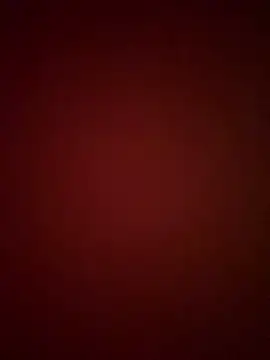 EllaSanz  online show from 9, 10, 2025