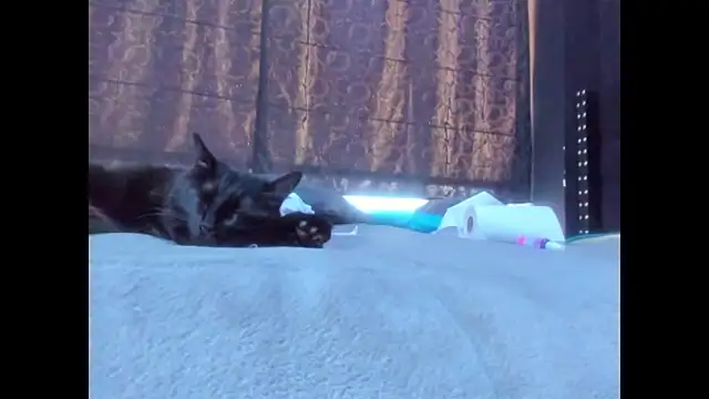 Snapshot of amareto_queen chatting on 25, 3, 2026 amareto queen online show from 25, 3, 2026