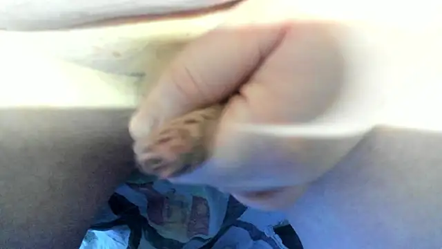 Big Andiy online show from 19, 12, 2025