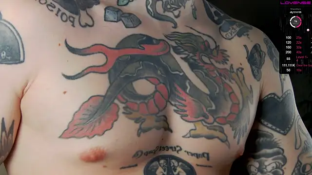 Tommy cat online show from 19, 12, 2024