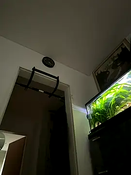 Snapshot of Toyjungee chatting on 22, 9, 2025 Toyjungee online show from 22, 9, 2025