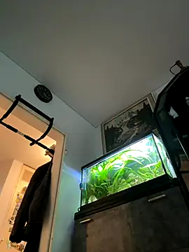 Snapshot of Toyjungee chatting on 23, 9, 2025 Toyjungee online show from 23, 9, 2025