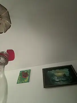 Snapshot of Toyjungee chatting on 29, 9, 2025 Toyjungee online show from 29, 9, 2025