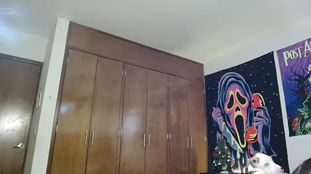 MINI Petite online show from 15, 12, 2025