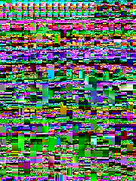 Kaiser 361 online show from 25, 5, 2026