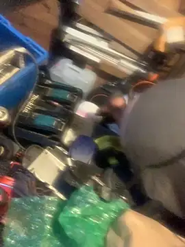 Likewise online show from 25, 2, 2026