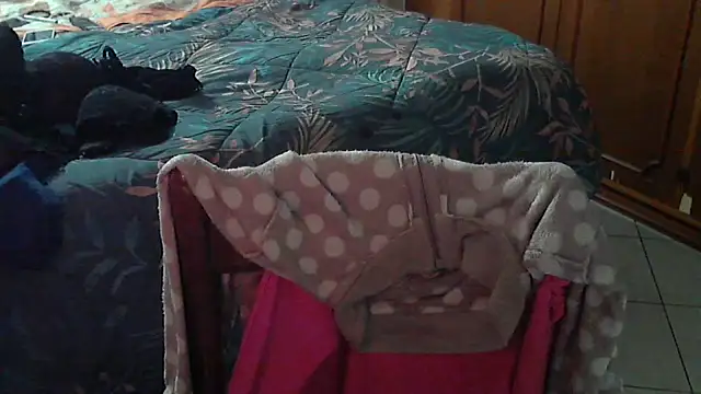 stellin online show from 17, 2, 2026