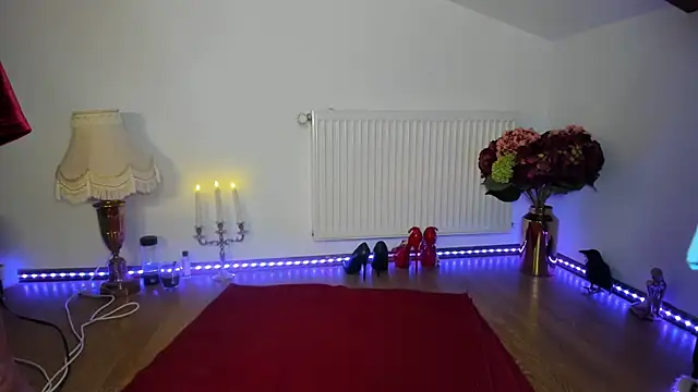 ViciousSiren online show from 5, 11, 2025