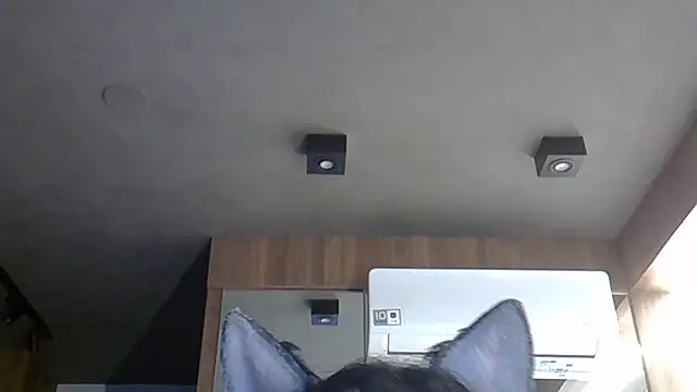 Skinny-Kitten online show from 31, 10, 2025