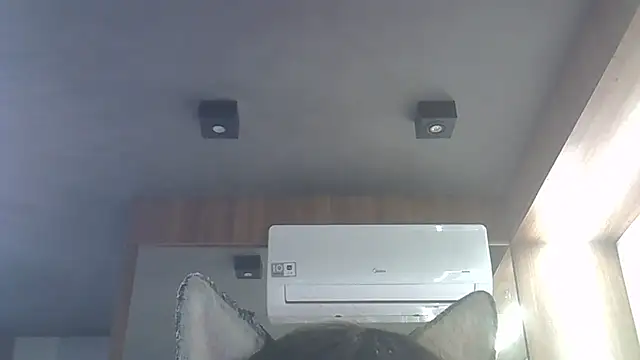 Skinny-Kitten online show from 16, 1, 2026