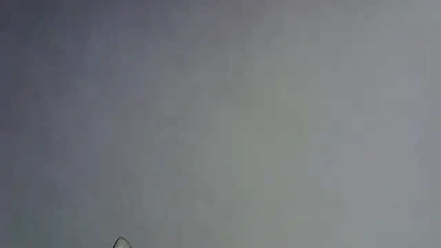 Skinny-Kitten online show from 16, 1, 2026