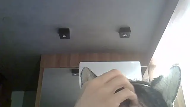 Skinny-Kitten online show from 17, 2, 2026