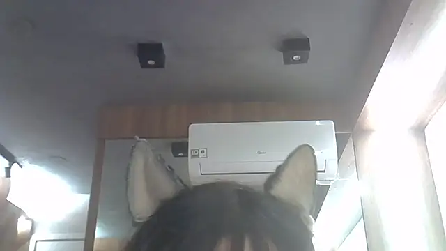 Skinny-Kitten online show from 4, 6, 2026
