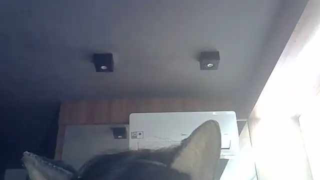 Skinny-Kitten online show from 9, 6, 2026