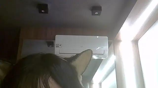 Skinny-Kitten online show from 24, 6, 2026