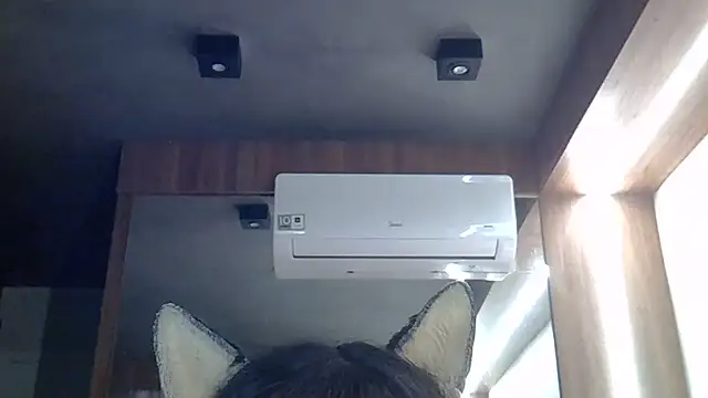 Skinny-Kitten online show from 26, 6, 2026