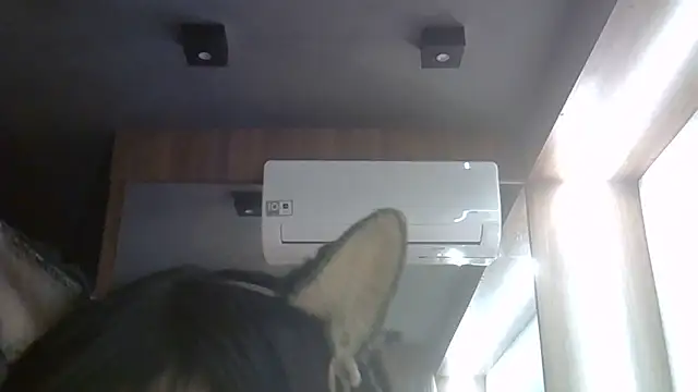 Skinny-Kitten online show from 27, 6, 2026