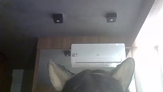 Skinny-Kitten online show from 27, 6, 2026