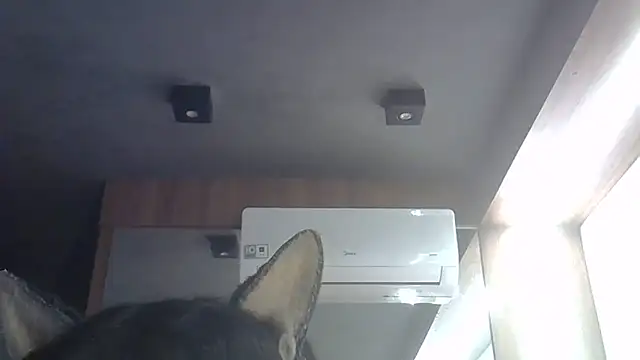 Skinny-Kitten online show from 28, 6, 2026