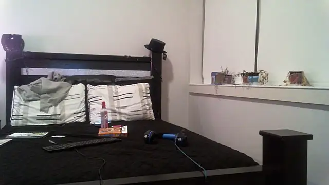 lofibunni online show from 10, 1, 2026